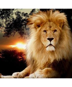 Lion-Paint by Numbers-50x40cm