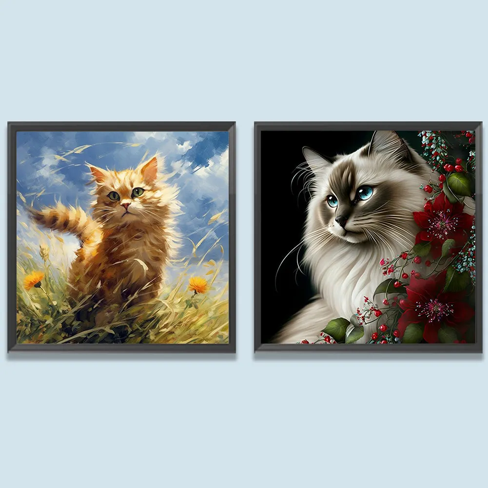 91a7a6a2ddf9a983147944f07d200a5e.webp