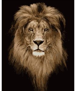Lion-Paint by Numbers-30*40cm/40*50cm