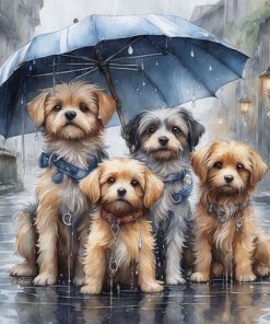 Puppy Under The Rain-Paint by Numbers-16x16/40x40cm