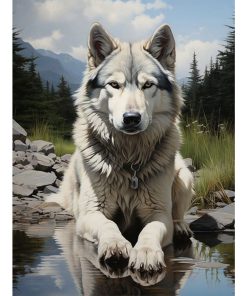 Forest Wolf-Paint by Numbers-30*40cm/40*50cm