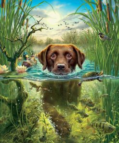 Dog-Paint by Numbers-8x8/20x20cm