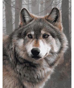 Gray Wolf-Paint by Numbers-30*40cm/40*50cm