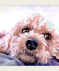 Pet Dog-Paint by Numbers